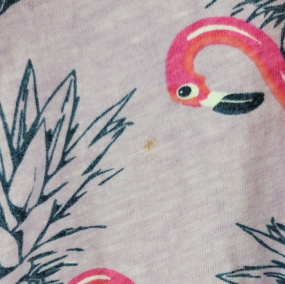 Knicker Bocker flamingo float print tshirt - Picture 6 of 6